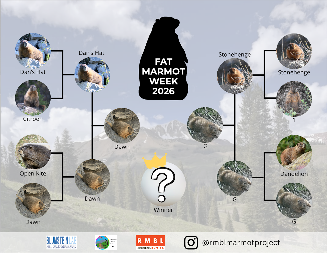 Fat Marmot Week 2026 championship bracket showing Dawn versus G