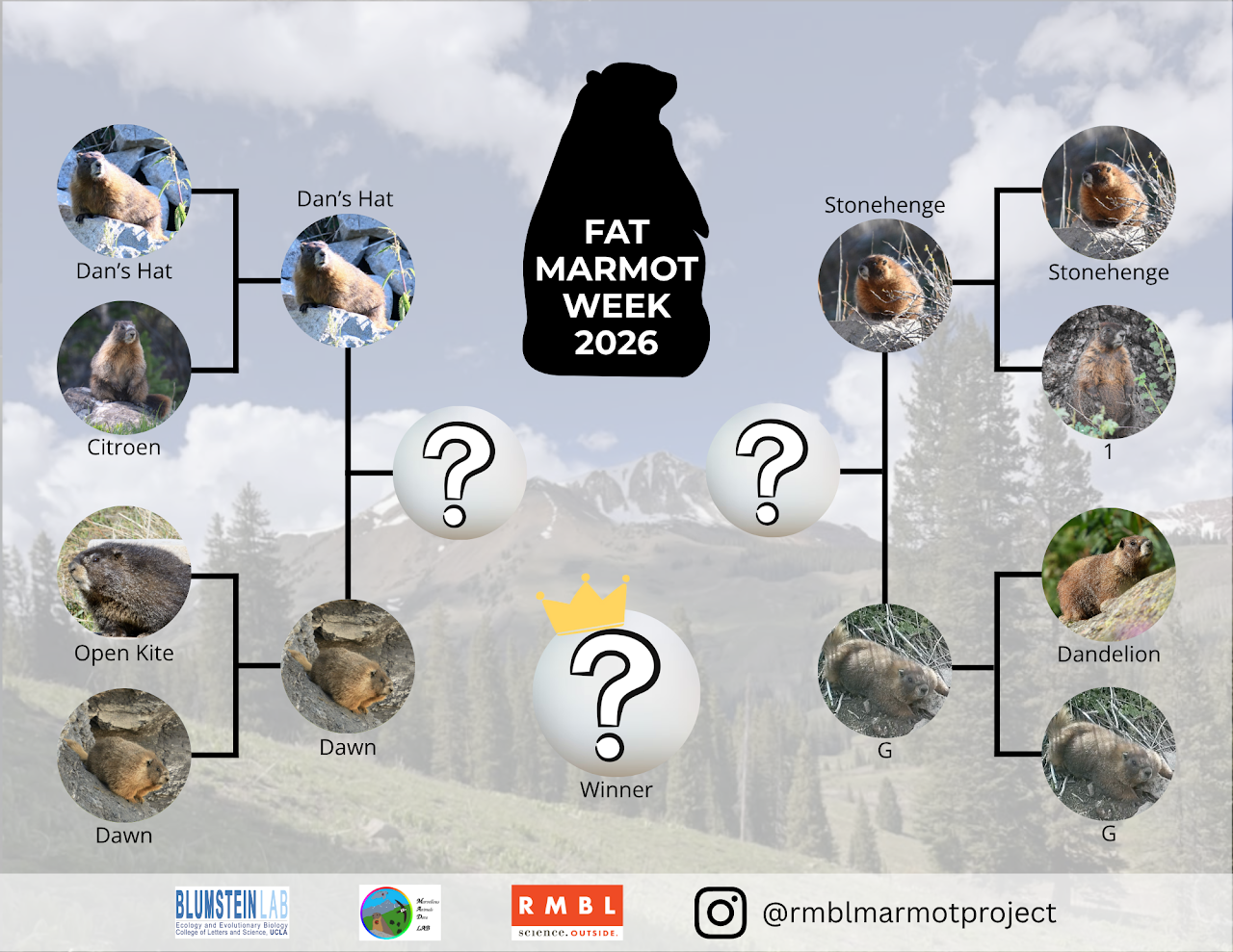 Fat Marmot Week 2026 semifinal bracket showing Dan's Hat versus Dawn and Stonehenge versus G